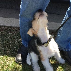 Meet your Posher, Jennie